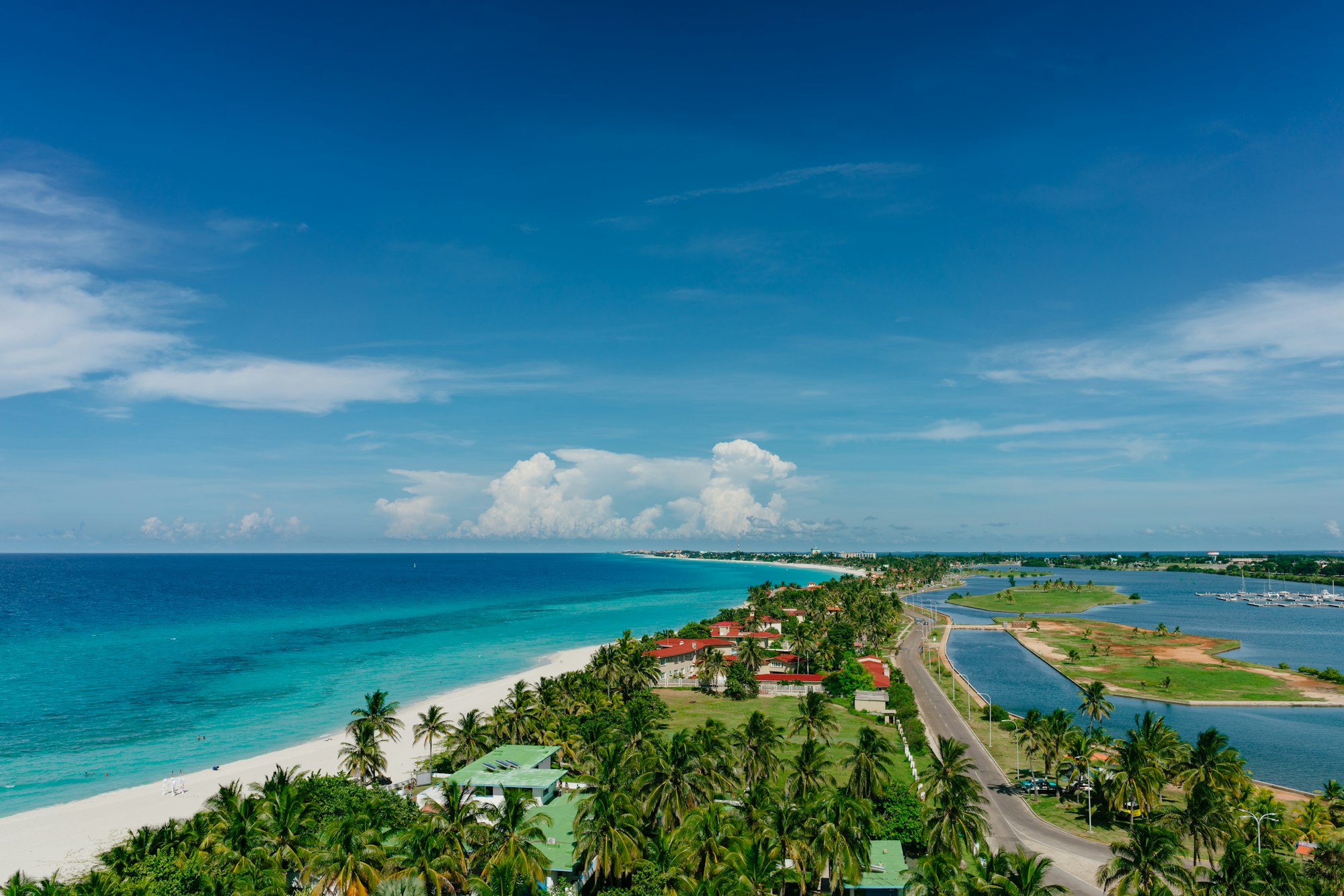 The most beautiful species in the Atlantic Ocean and beach in the resort of Varadero, Cuba