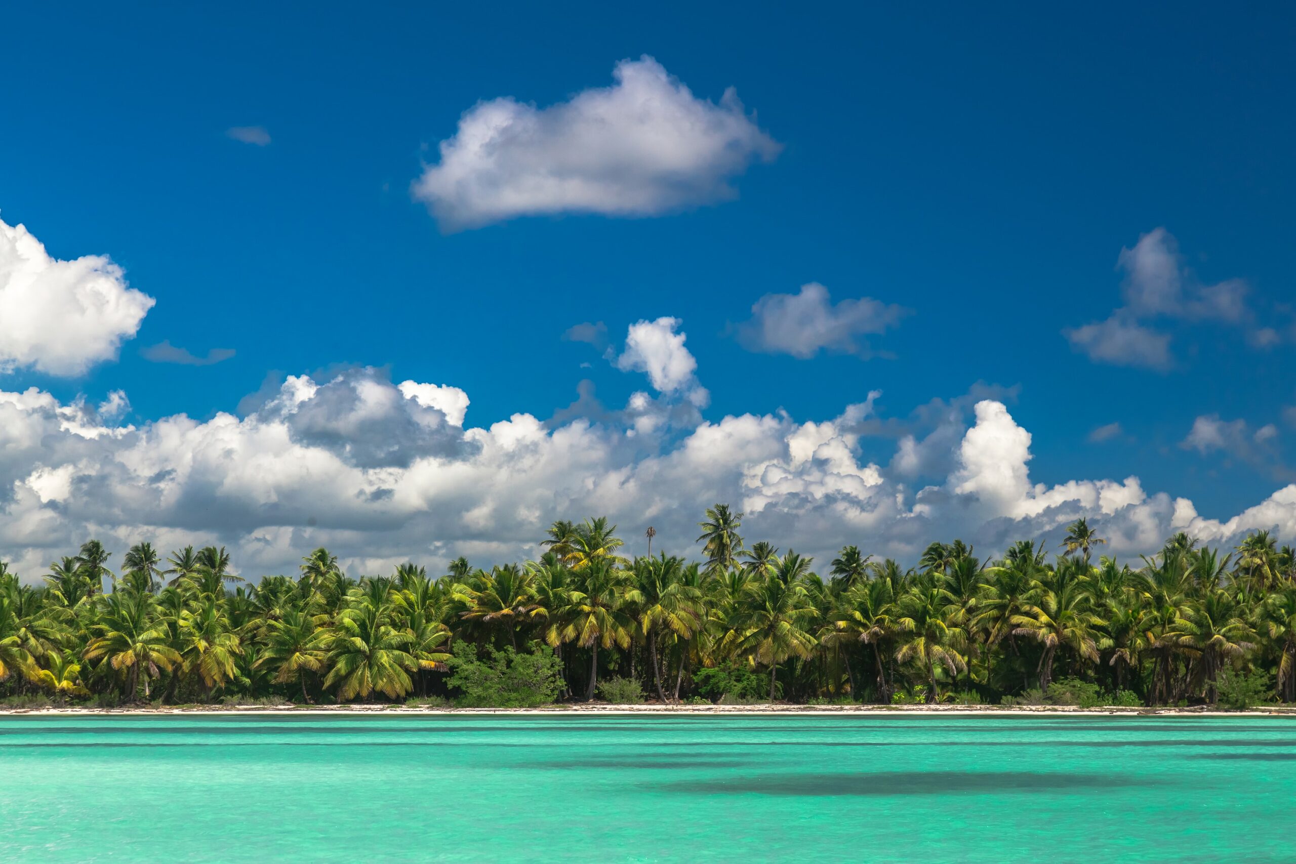 idiomas  - playa de punta cana - Punta Cana República Dominicana