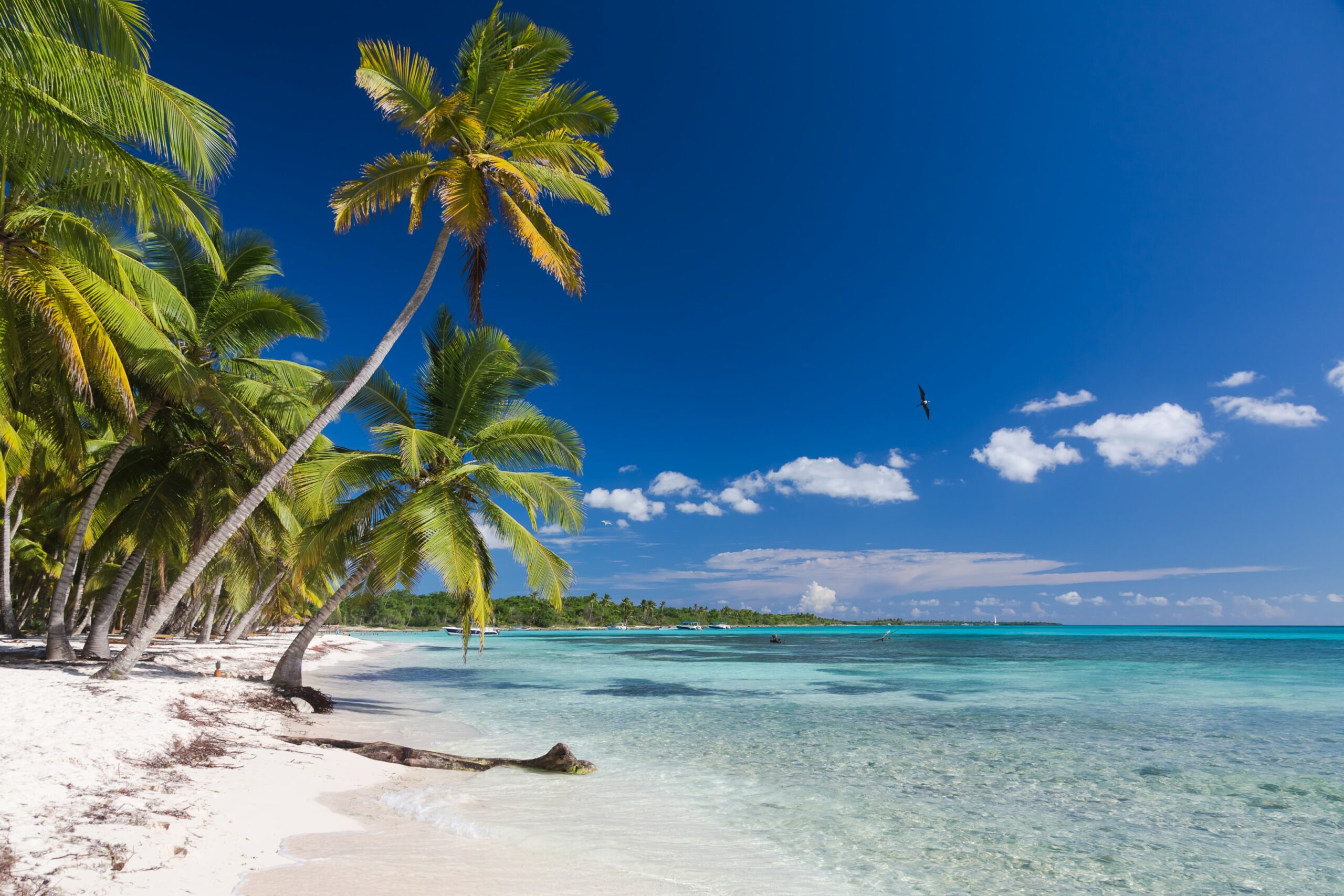 Destinos - océano atlántico - agua dulce - punta cana - punta cana