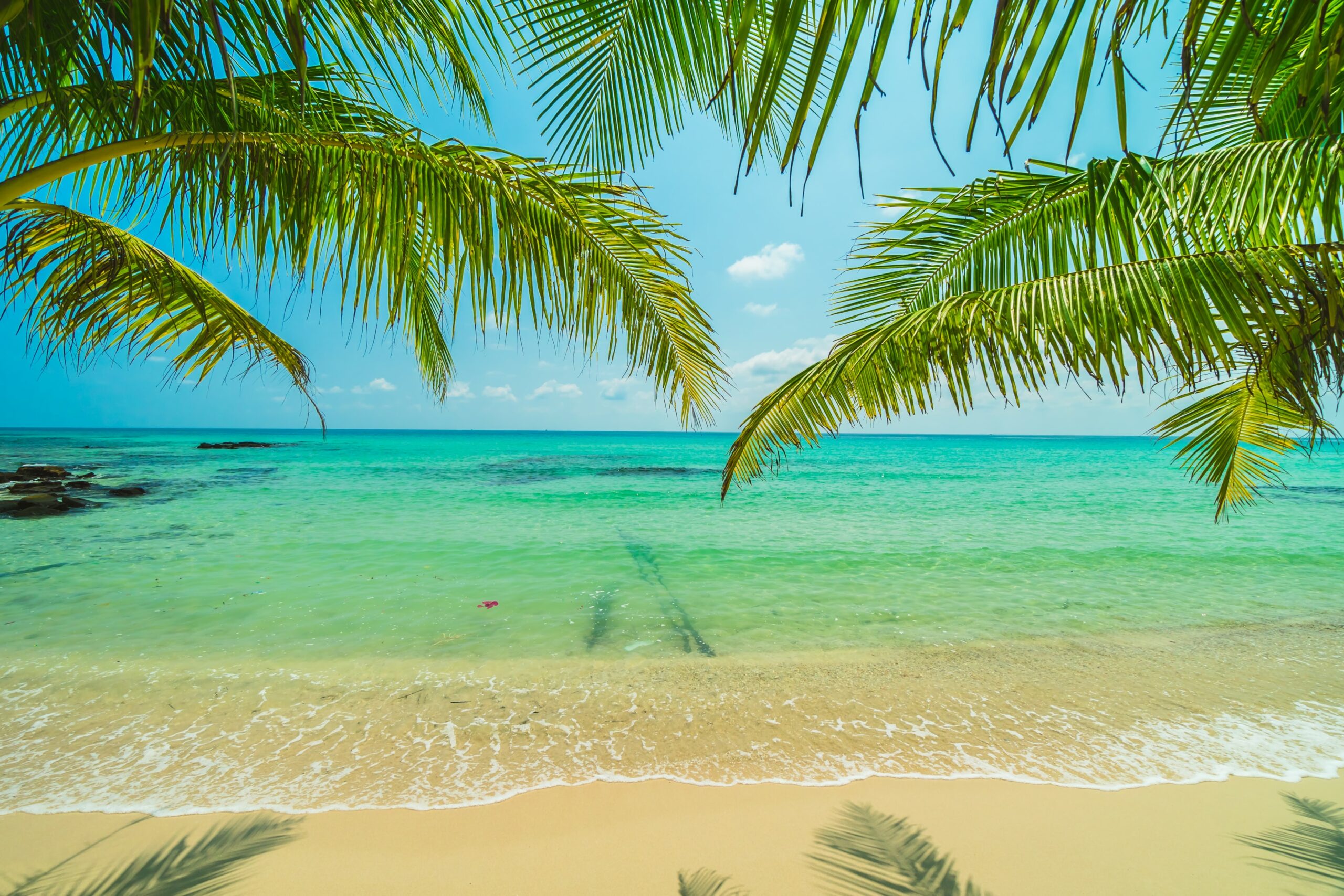 las mejores playas del mundo - visitante - portal - playa de la concha