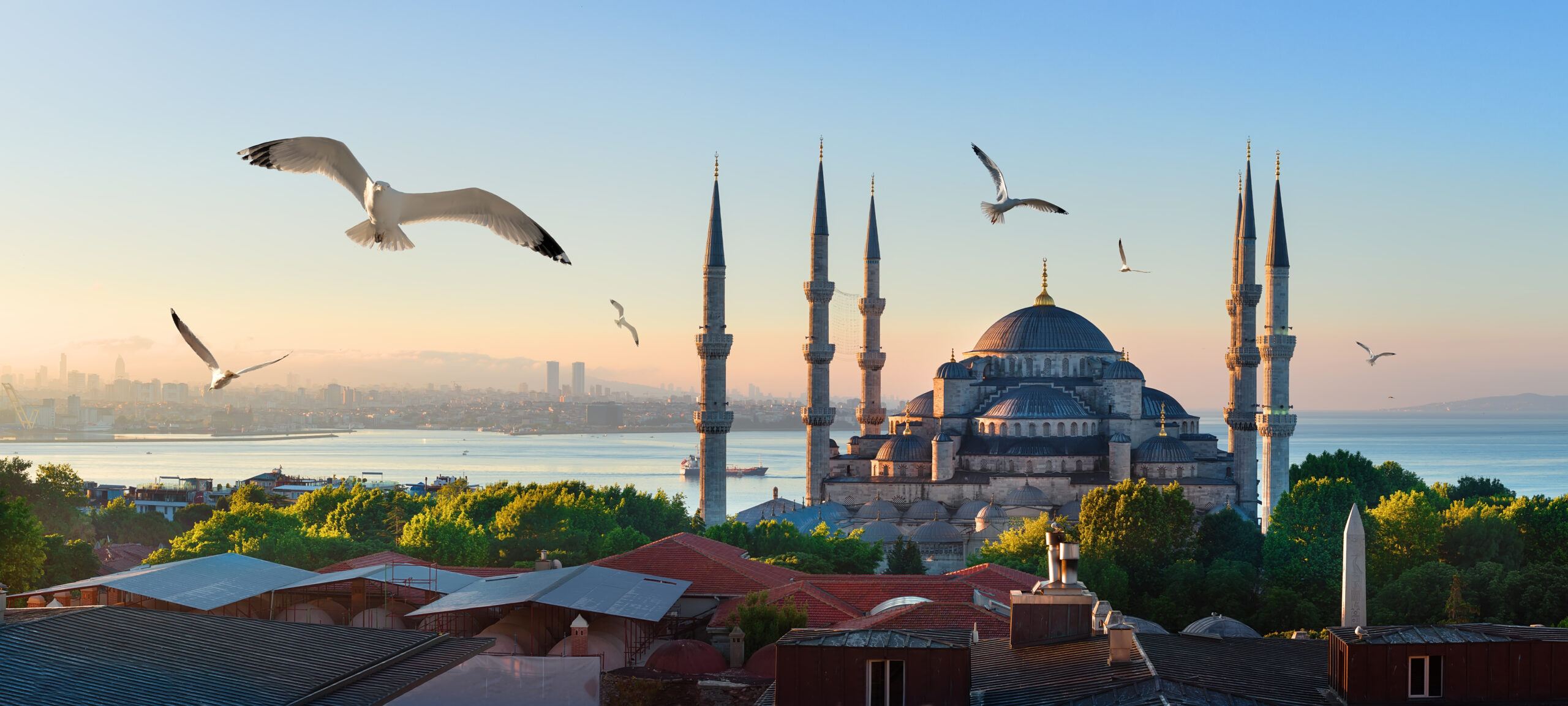 Seagulls over Blue Mosque and Bosphorus in Istanbul, Turkey