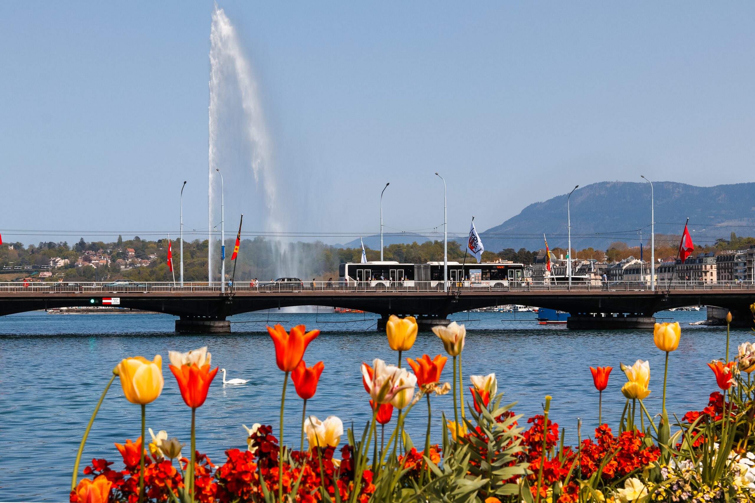 GENEVA, SWITZERLAND - APRIL 22, 2019: View at Mont-Blanc bridge and Jet d’eau on Geneva lake in Geneve city through bright blooming spring flowerbed. Popular touristic destination at Lac Leman