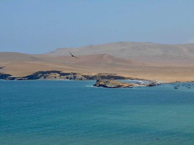 sea, peru, paracas, nature, birds, rocks, holidays, paracas, paracas, paracas, paracas, paracas