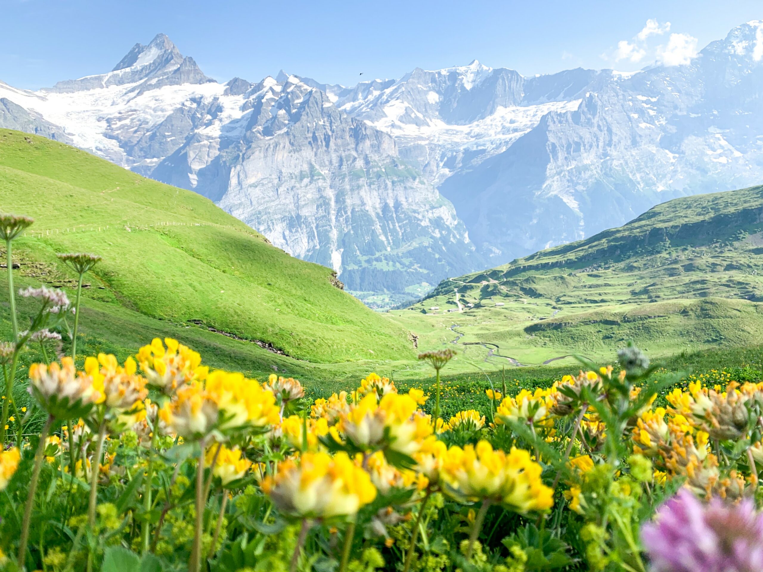 Alpes Suizos