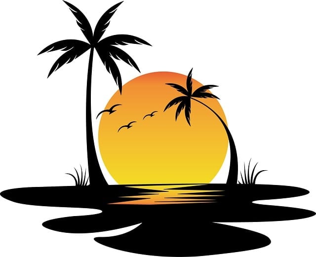 design, playas, creative, sunset, nature, beaches, tropical, summer, tropical, tropical, tropical, tropical, tropical